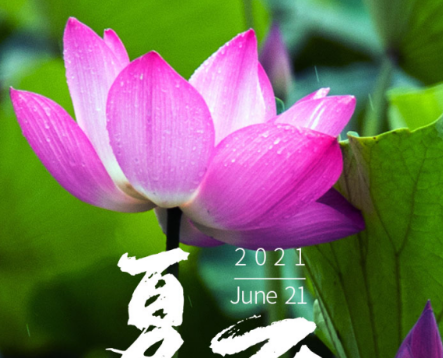 今日夏至|半夏木槿，萬物勃發(fā)，長日滿滿，青島中新華美遙祝夏安